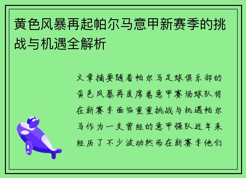 黄色风暴再起帕尔马意甲新赛季的挑战与机遇全解析