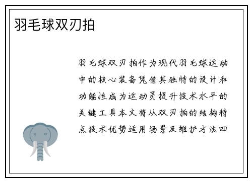 羽毛球双刃拍