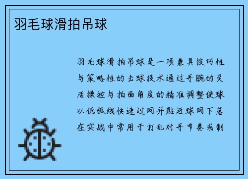 羽毛球滑拍吊球